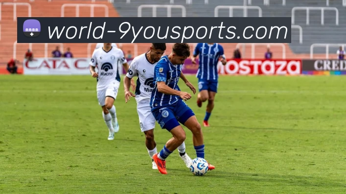 九游体育APP 封面图